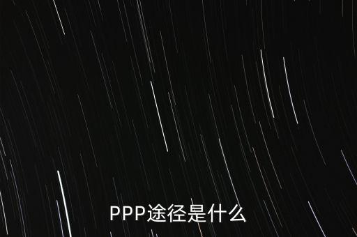 ppp是什么，生物工程是什么