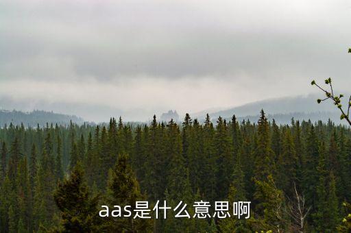 aas是什么意思啊