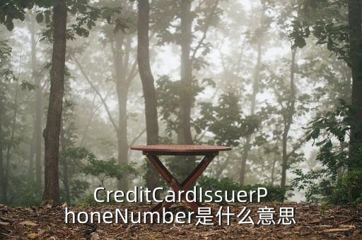 CreditCardIssuerPhoneNumber是什么意思