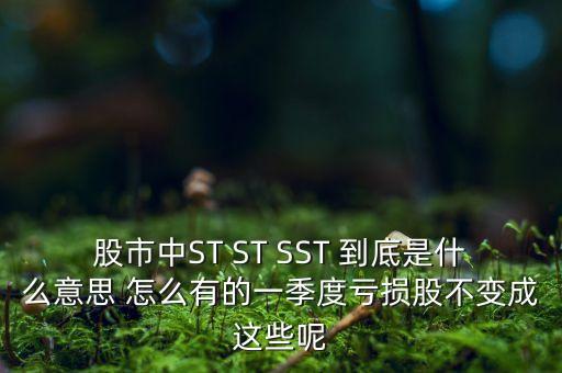 st銀山是什么公司，數(shù)量單位用st表示是什么意思