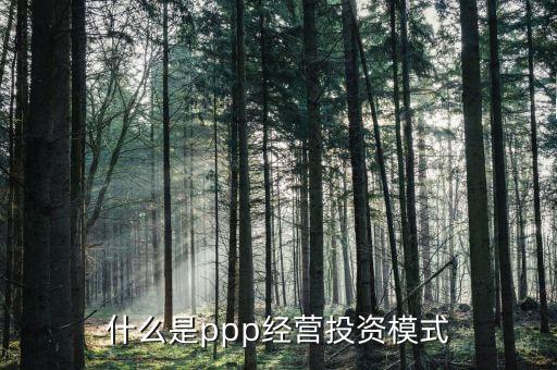 什么是ppp經(jīng)營投資模式