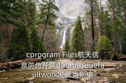 cprogram Files航天信息防偽開票databaseuefaultwork發(fā)票類別編