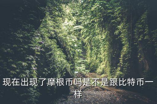 為什么摩根幣國家，現(xiàn)在出現(xiàn)了摩根幣嗎是不是跟比特幣一樣