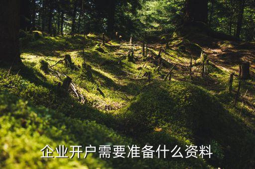 開戶要帶什么資料，社保開戶要準(zhǔn)備哪些資料