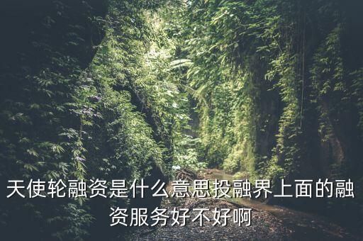 互聯(lián)網(wǎng)公司天使輪是什么意思，天使輪融資是什么意思投融界上面的融資服務(wù)好不好啊