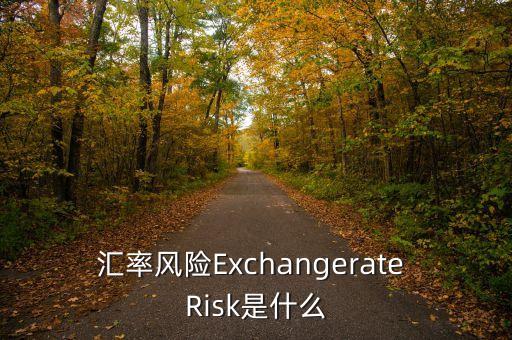 匯率風(fēng)險(xiǎn)屬于什么，匯率風(fēng)險(xiǎn)Exchangerate Risk是什么