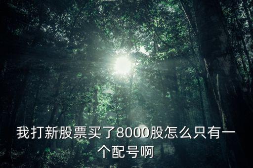 我打新股票買了8000股怎么只有一個(gè)配號啊