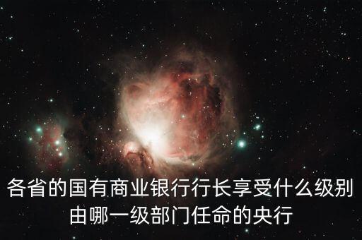 中國商業(yè)銀行總裁什么級別，中國銀行總裁是