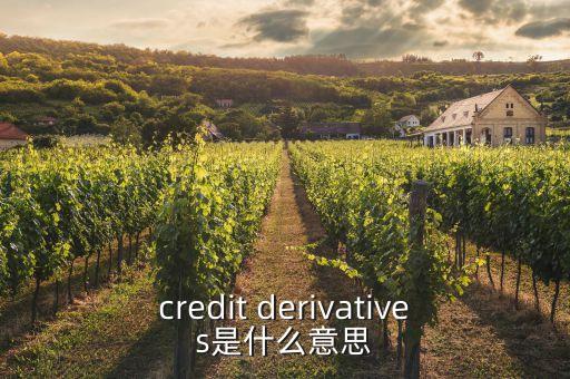 credit derivatives是什么意思