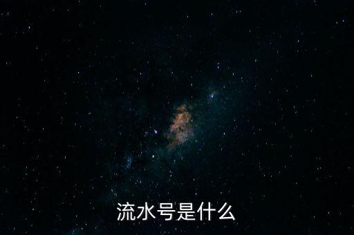 流水號是什么