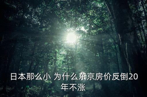 日本那么小 為什么東京房價反倒20年不漲