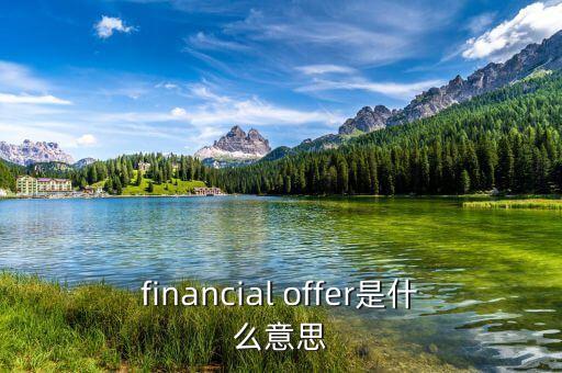 微型金融師有什么用，financial offer是什么意思