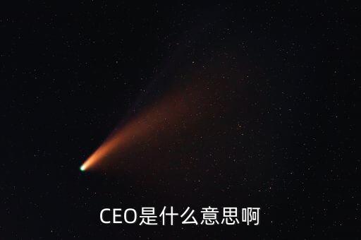 職位總裁是什么意思，CEO是什么意思啊