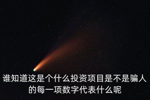 誰知道這是個什么投資項目是不是騙人的每一項數(shù)字代表什么呢