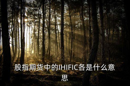 股票ic是什么意思，股指期貨中的IHIFIC各是什么意思