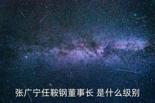 張廣寧任鞍鋼董事長(zhǎng) 是什么級(jí)別