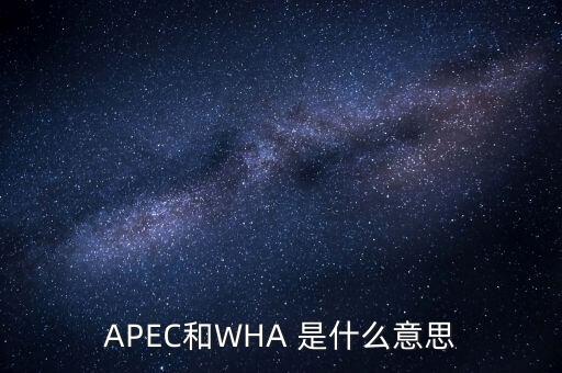 什么經(jīng)和組織第23次領(lǐng)導(dǎo)會議，APEC是什么