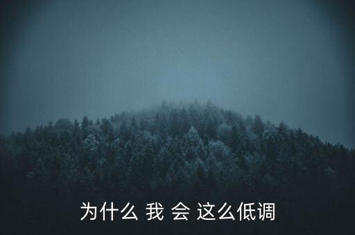 為什么 我 會 這么低調