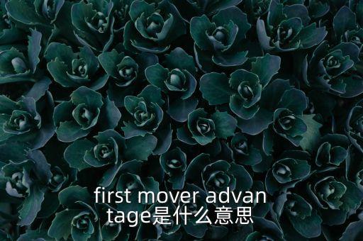 first mover advantage是什么意思