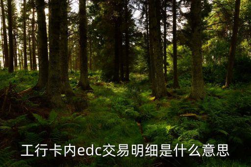 銀行edc是什么意思，工行卡內(nèi)edc交易明細(xì)是什么意思