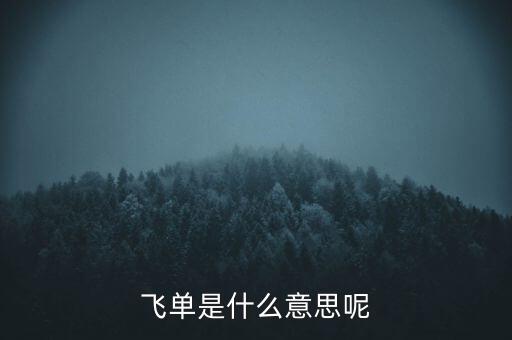 飛單是什么意思呢