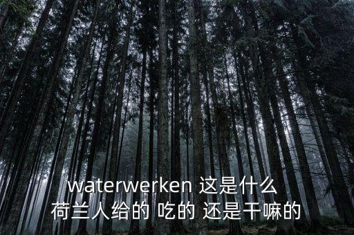 waterwerken 這是什么 荷蘭人給的 吃的 還是干嘛的