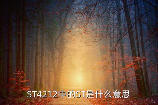 ST4212中的ST是什么意思