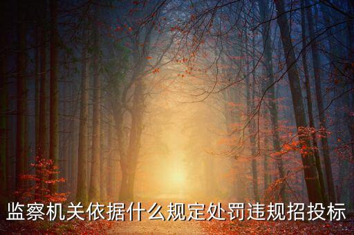 什么是違規(guī)招標(biāo)，非法招標(biāo) 什么意思啊