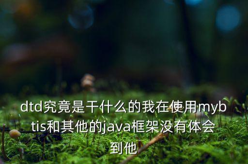 布倫特dtd是什么，dtd究竟是干什么的我在使用mybtis和其他的java框架沒(méi)有體會(huì)到他