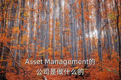 Asset Management的公司是做什么的