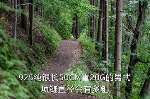 925純銀長50CM重20G的男式項鏈直徑會有多粗