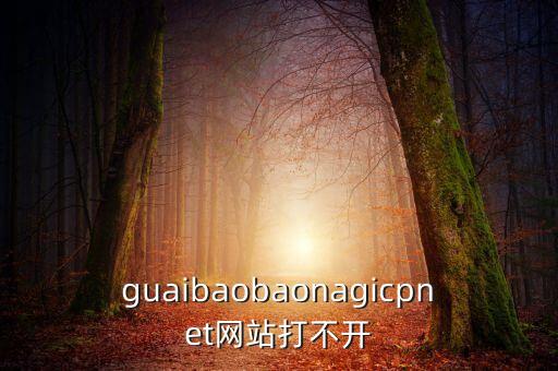 王思聰買了域名為什么不給萬達(dá)用，guaibaobaonagicpnet網(wǎng)站打不開