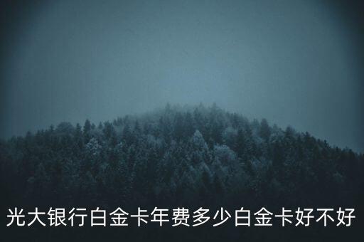 光大銀行白金卡年費(fèi)多少白金卡好不好