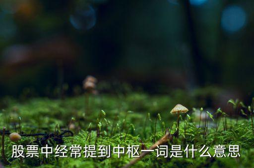 股票中樞是什么意思，股票中經(jīng)常提到中樞一詞是什么意思