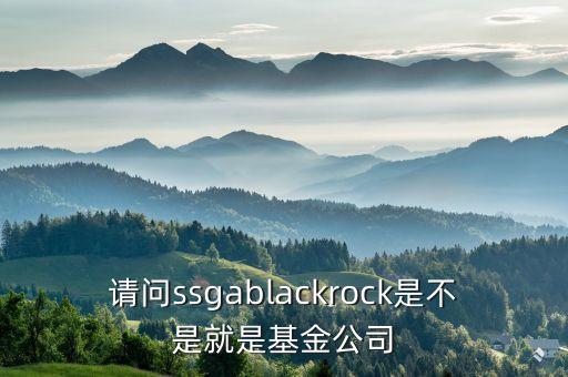 請問ssgablackrock是不是就是基金公司