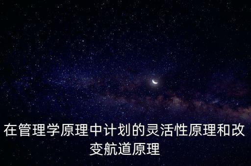 在管理學(xué)原理中計(jì)劃的靈活性原理和改變航道原理