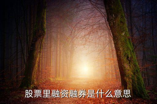 股票中什么叫融資融券，什么叫融資融券