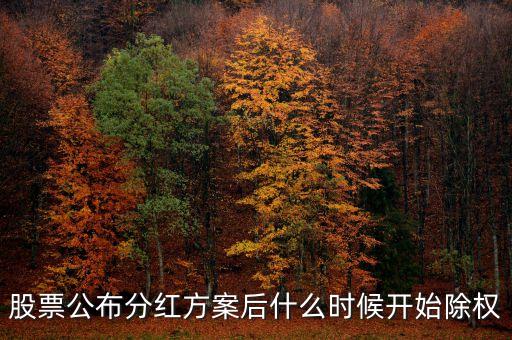 股票公布分紅方案后什么時候開始除權