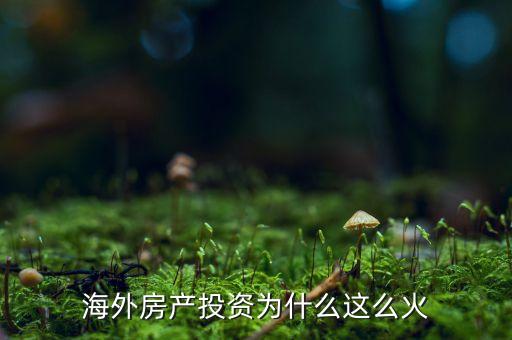 海外房產(chǎn)投資為什么這么火