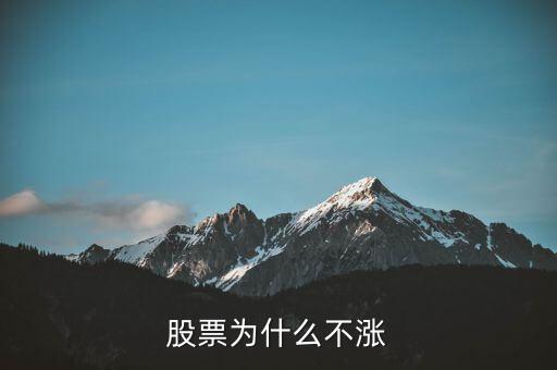 股票為什么不漲