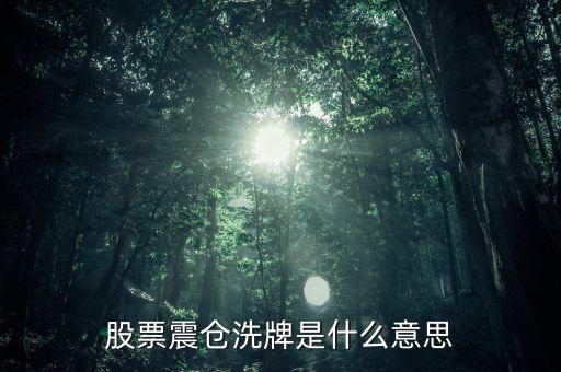 股票震倉(cāng)洗牌是什么意思