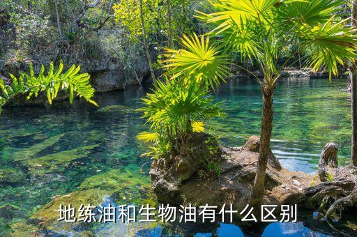 地練油和生物油有什么區(qū)別