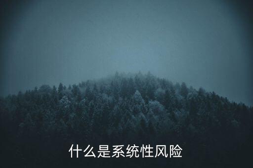 什么是系統(tǒng)性風險