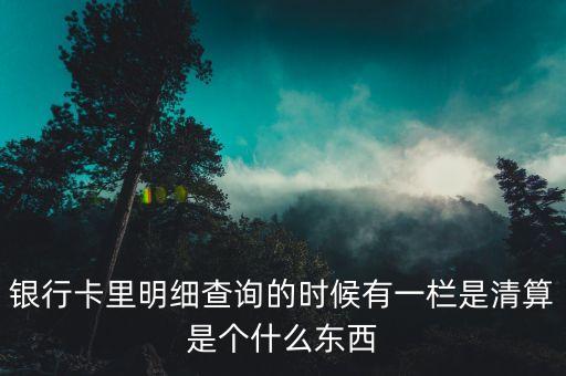 什么是銀行卡清算，銀行卡里明細(xì)查詢的時(shí)候有一欄是清算是個(gè)什么東西