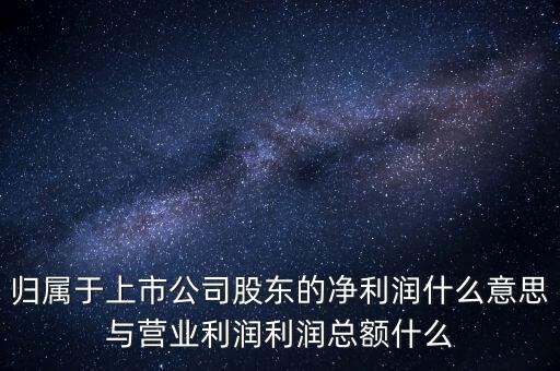 股票凈利潤是什么意思，每股資本公積主營收入每股未分利潤凈利潤什么意思