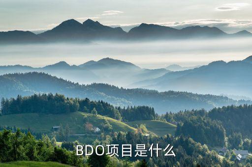 BDO項(xiàng)目是什么