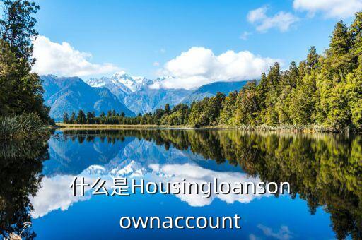 什么是Housingloansonownaccount