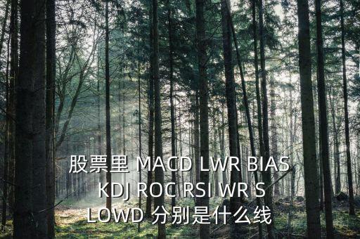 lwr買入信號是什么意思，LWR是什么意思