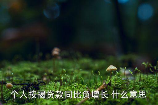 個人按揭貸款同比負(fù)增長 什么意思