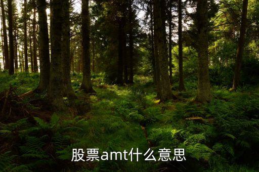 股票amt是什么意思，股票amt什么意思